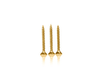 macro screw of golden color on a white background