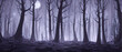 Print Terrifying surreal forest. unreal world. Mysterious Forest, Danger, Fear, Anxiety. Mysterious forest landscape