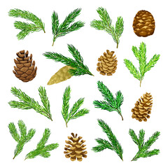 Wall Mural - Pine Green Needle Branch and Cones Big Vector Set
