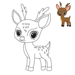 Wall Mural - fawn cartoon coloring book isolated, vector