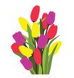 Flores Tulipanes - Tulips Flowers
