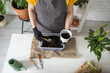 © satura_ - Gardening home close-up. Woman replanting and watering green plant from watering can in home. Potted green plants at home, home jungle, floral decor. Florist shop concept