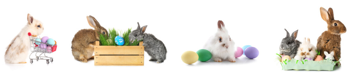 Poster - Collage of cute rabbits with Easter eggs on white background