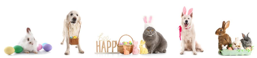 Wall Mural - Set of cute animals with Easter eggs on white background