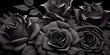 black roses and dark love