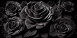 black roses and dark love