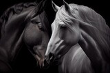 Fototapeta Konie - Black horse and white horse touching touching each other with head. Care and romantic concept. Generative art