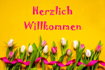 Wall Mural - Colorful Tulip, Herzlich Willkommen Means Welcome, Ribbon, Yellow Background