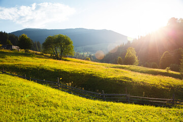 Photo Sur Toile - Green rolling countryside in the morning light. Carpathian mountains, Ukraine.