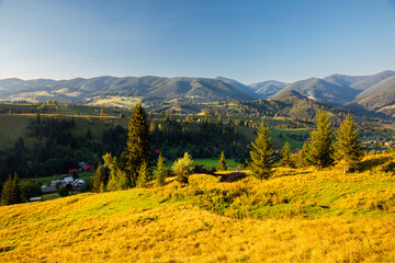 Affiche - Green rolling countryside in the morning light. Carpathian mountains, Ukraine.