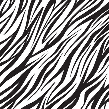 black zebra pattern with simple and bold flat line decoration isolated on square white wallpaper tem