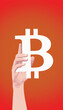 hand holding bitcoin type illustration, mysterious decentralized digital money holdings bitcoin sign, 