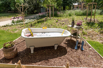 Old bathtub with water in the park