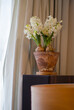 fresh hyacinths set at home for pure minimalist still life