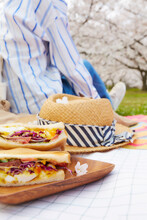 満開の桜とピクニックをしている女性の後ろ姿