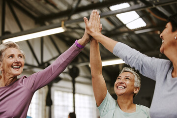 Teamwork, fitness and high five of senior women in gym celebrating workout goals. Sports targets, celebrate and group of friends with hands together for success, motivation and exercise achievements.