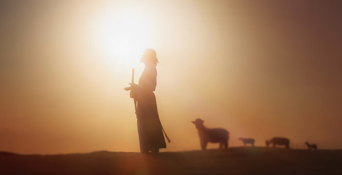 shepherd jesus christ leading the sheep and praying to god and in the field bright sun light and jes