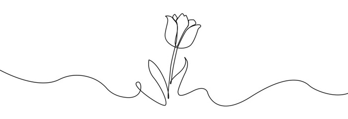 tulip one line drawing.abstract flower continuous line. minimalist contour drawing of tulip. continu
