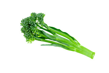 Canvas Print - baby broccoli isolated on transparent png