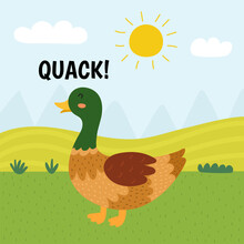 Duck Saying Quack Print. Cute Farm Character On A Green Pasture Making A Sound. Funny Card With Animal In Cartoon Style For Kids. Vector Illustration