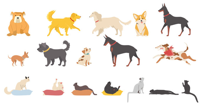 Fototapete - Pets vector cats and dogs isolated set on white