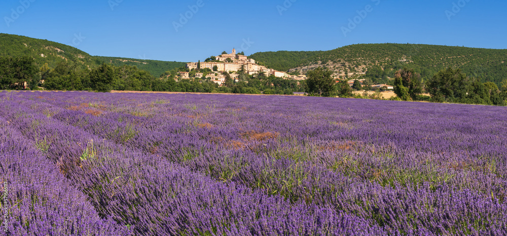 The hilltop village of Banon in Provence with lavender fields in full bloom. Alpes-de-Haute-Provence, France
