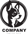 The head of chihuahua dog. Dog vector illustration. Company logo design
