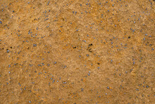 Texture Of A Yellow Beach Rock Texture  Background In The Beach With  Small Limpets On It. Wallpaper