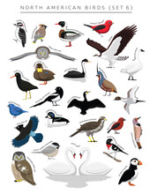 North American Birds Set Cartoon Vector Character 6