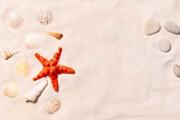 Wall Mural - sandy beach with seashells background