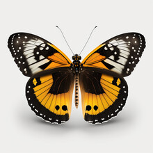 Fictional butterfly that focuses on symmetry in design. Created using ai generative. 