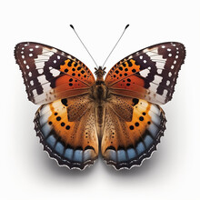 Fictional Butterfly That Focuses On Symmetry In Design. Created Using Ai Generative. 