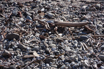 Wall Mural - Rocks and debris on a pacific ocean beach after heavy winter storms