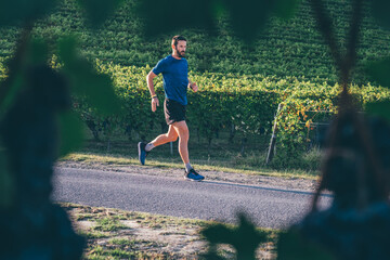 Wall Mural - man running in the countryside at the sunset