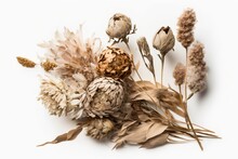 Bouquet Of Fluffy Beige Dried Flowers Against A White Background. Generative AI