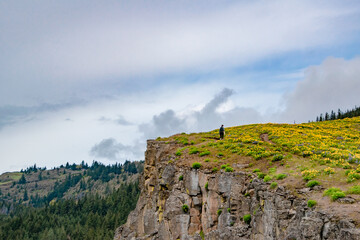 Wall Mural - Single Hiker Alone on Cliff on Cloudy Day in Spring at Coyote Wall in the Columbia River Gorge in Oregon & Washington