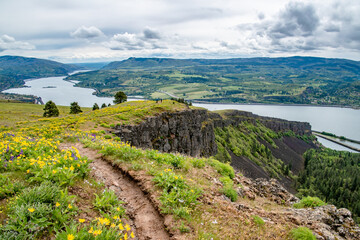 Sticker - Grassy Hillside Springtime Flower Bloom at Coyote Wall Overlooking the Columbia River Gorge in Oregon & Washington