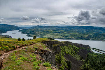 Wall Mural - Grassy Hillside Springtime Flower Bloom at Coyote Wall Overlooking the Columbia River Gorge in Oregon & Washington