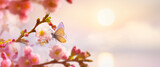 Fototapeta Kawa jest smaczna - Spring tree flower background; Easter greeting card design with copy space;