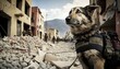 dog with collapse and destruction of building behind, idea for k9 dog in rescue team for sniff find survive people under collapse building, support Turkey, Syria,   Generative Ai