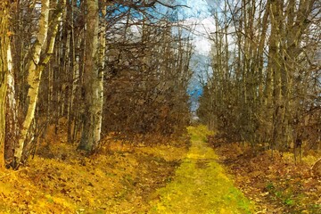 Poster - Nice original Oil Painting On canvas of a forest