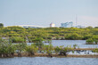 The border of urban and nature at Black Point Wildlife Drive at Merritt Island NWR, FL.  Titusville in background