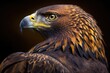 Close-up of a Golden Eagle - Aquila chrysaetos. Generative AI.