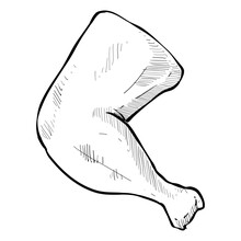 Chicken Thighs Handdrawn Illustration