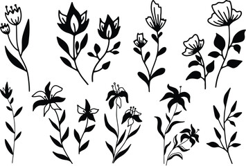 Wall Mural - Floral leaf's and elements isolated vector Silhouettes 