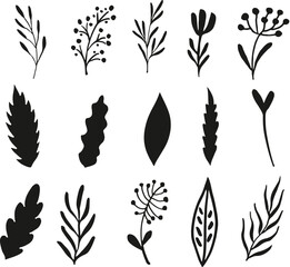 Wall Mural - Floral leaf's and elements isolated vector Silhouettes 