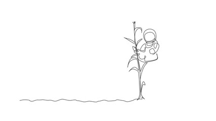 Wall Mural - Animation of one single line drawing of astronaut picking corn from plant in moon surface illustration. Outer space farming harvest concept. Continuous line self draw animated. Full length motion.