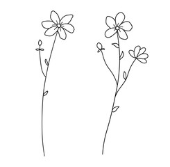 Wall Mural - Hand drawn wildflowers. Vector outline flowers sketch. Line art doodle isolated on white background