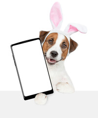 Poster - Jack russell terrier puppy wearing easter rabbits ears holds big smartphone with white blank screen in it paw, showing close to camera. isolated on white background
