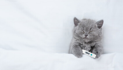 Poster - Cozy kitten sleeps with thermometer under blanket on a bed at home. Top down view. Empty space for text
